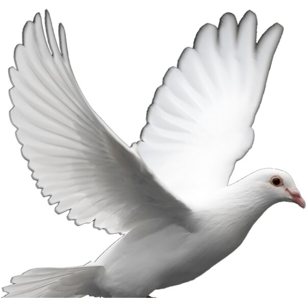 37 379301 doves clipart freedom dove of peace Thumbnail