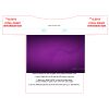 100-LARGE ADULT Thumbnail